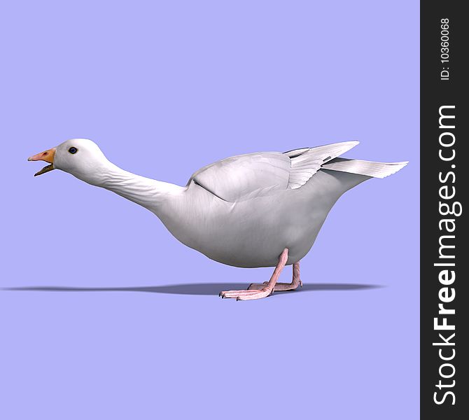 3D rendering of a snow goose with clipping path and shadow over white