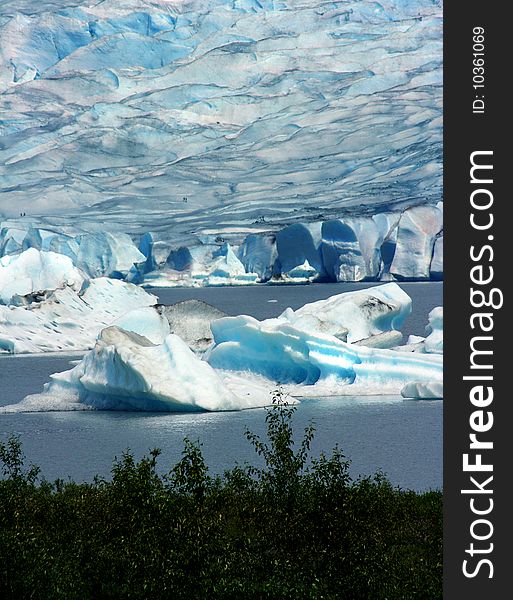 Mendenhall Glacier, Alaska