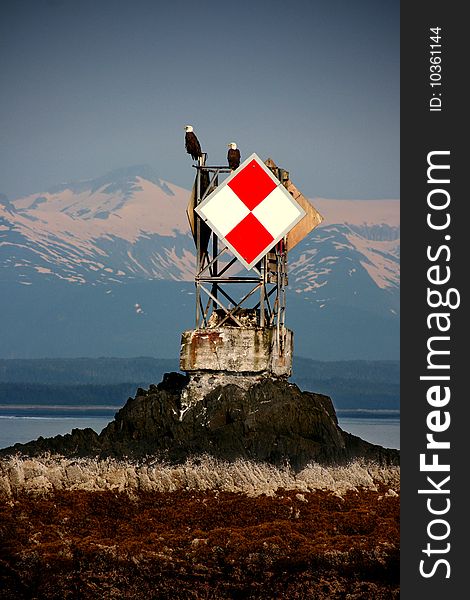 Two Bald eagles sit atop a channel marker in Auke Bay, Alaska. Two Bald eagles sit atop a channel marker in Auke Bay, Alaska