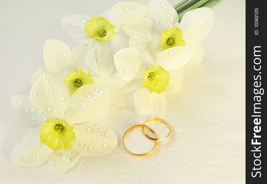 Wedding rings with flowers narcissus