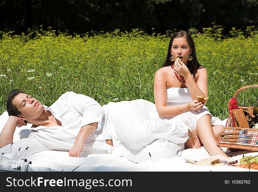 Young Attractive Couple Having A Picknick