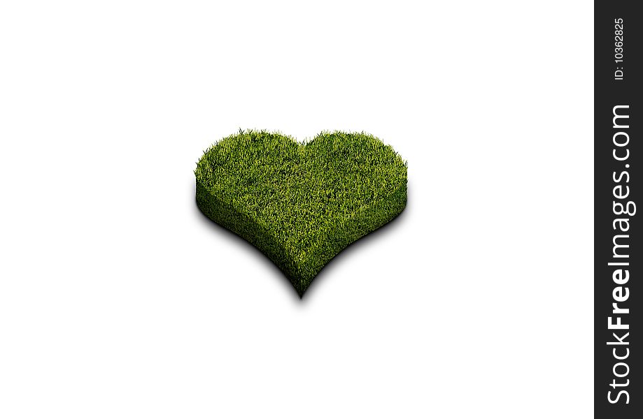 Beautiful Heart of Grass isolated on white background