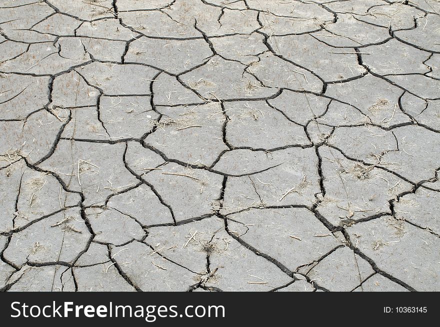 Dry cracked ground in the summer