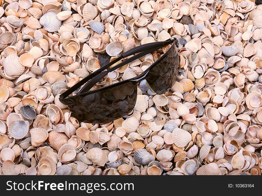 Black sunglasse on the cockleshell beach. Black sunglasse on the cockleshell beach