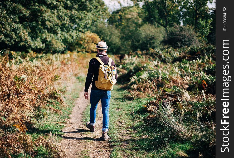 Adult, Adventure, Backpack, Backpacker