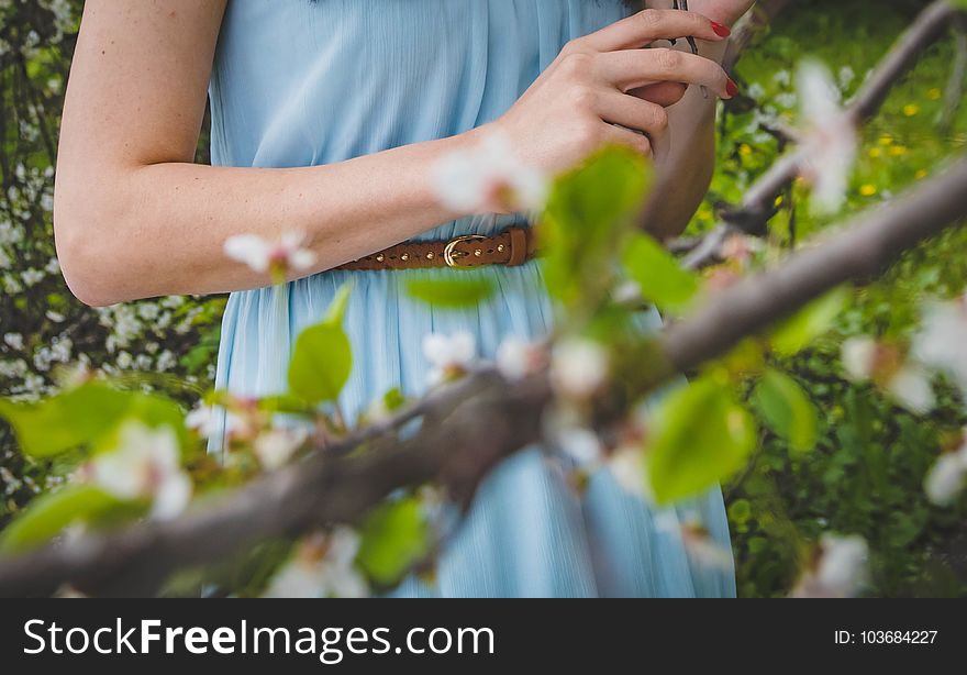 Woman On A Dress