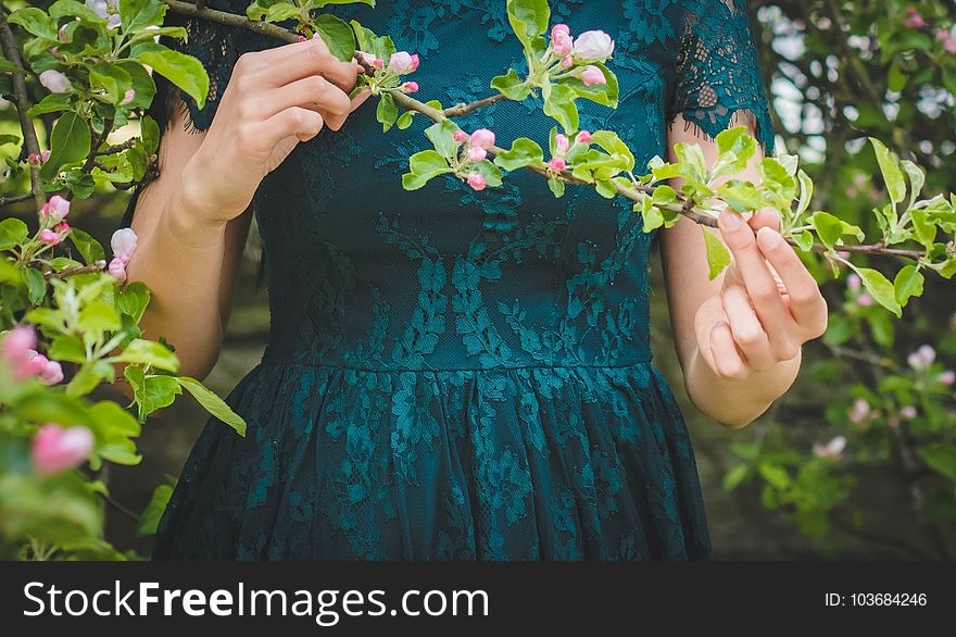 Woman Holding Green Leafed Plant