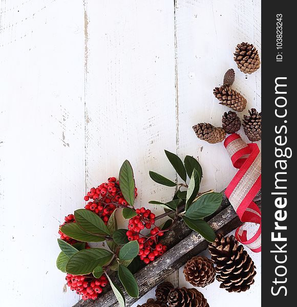 Red Fruits and Brown Pine Cones on White Wooden Surface