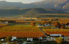 Fall Vineyards23 Stock Photos Fall Vineyards23 Stock Photos