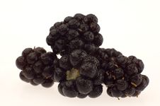 Berry Stock Images Berry Stock Images