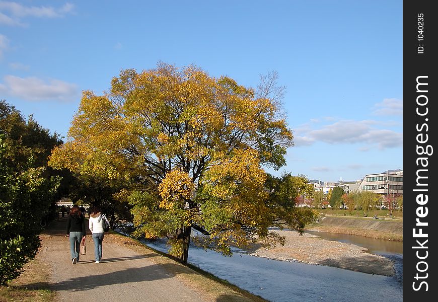 Two girls walking on the riverside in autumn, Kyoto, Kamo-river. Two girls walking on the riverside in autumn, Kyoto, Kamo-river