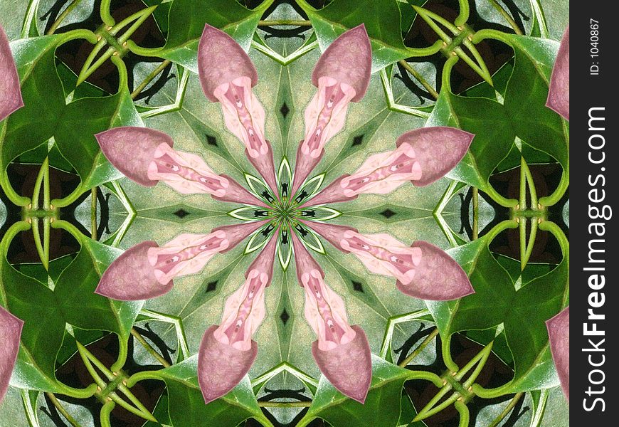 Pink And Green Pinwheel