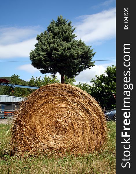 Hay ball and tree in a field