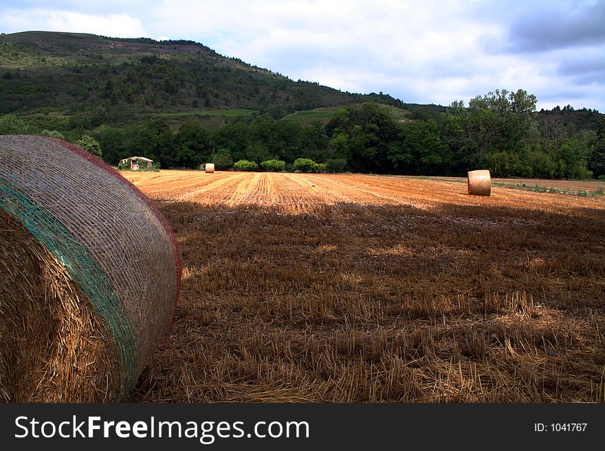Hay ball in field, after harvesting