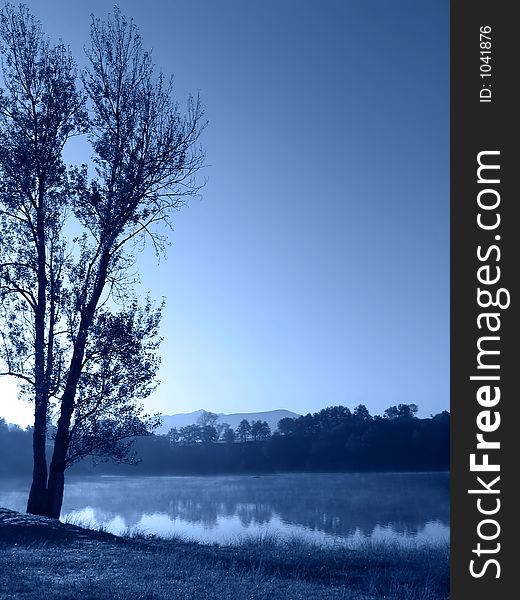 Tree by the lake with fog floating over the water (blue toned). Tree by the lake with fog floating over the water (blue toned)