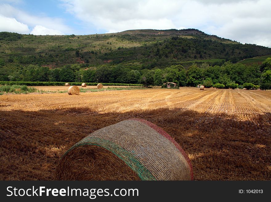 Hay field after harvest