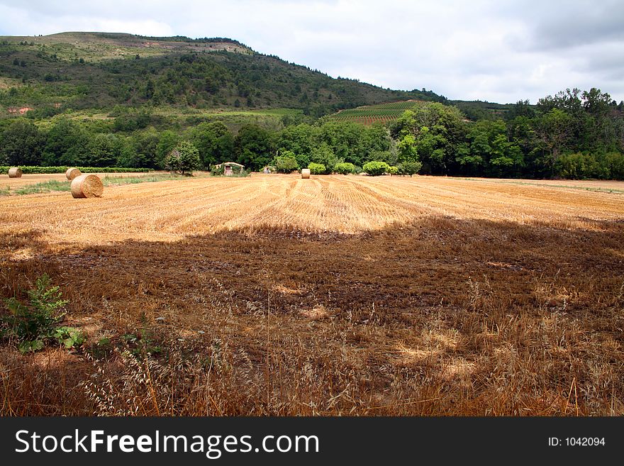 Hay field after harvesting, south of France