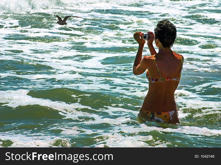 Woman taking a photograph of seagul. Woman taking a photograph of seagul