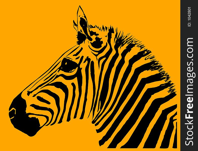 An image of a zebra with black and orange in the skin and background areas