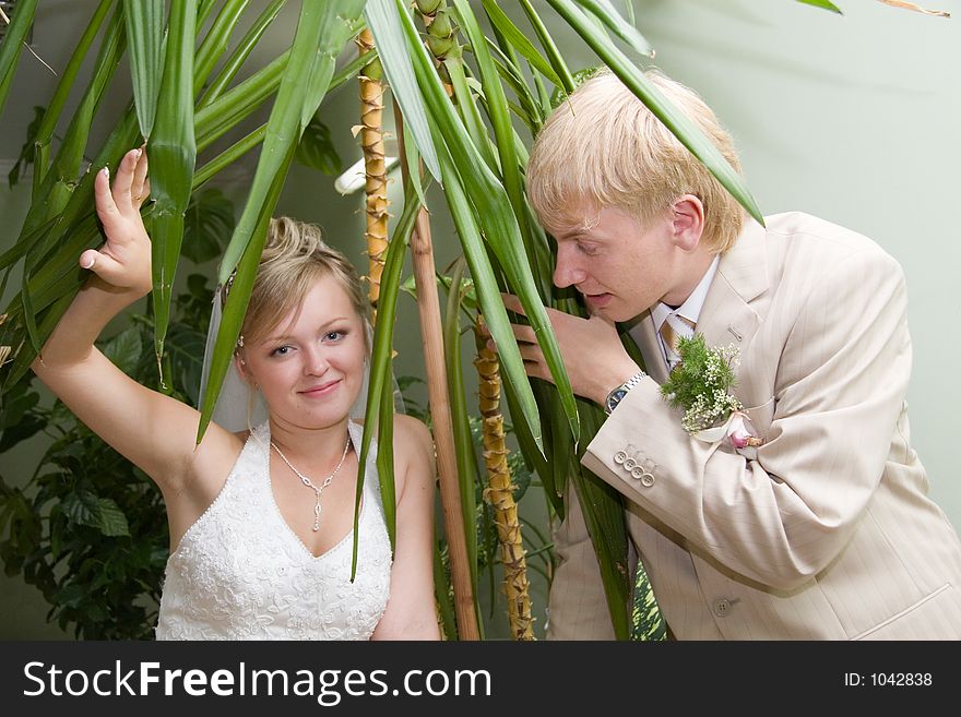 Newlywedses in whinter-park. Newlywedses in whinter-park