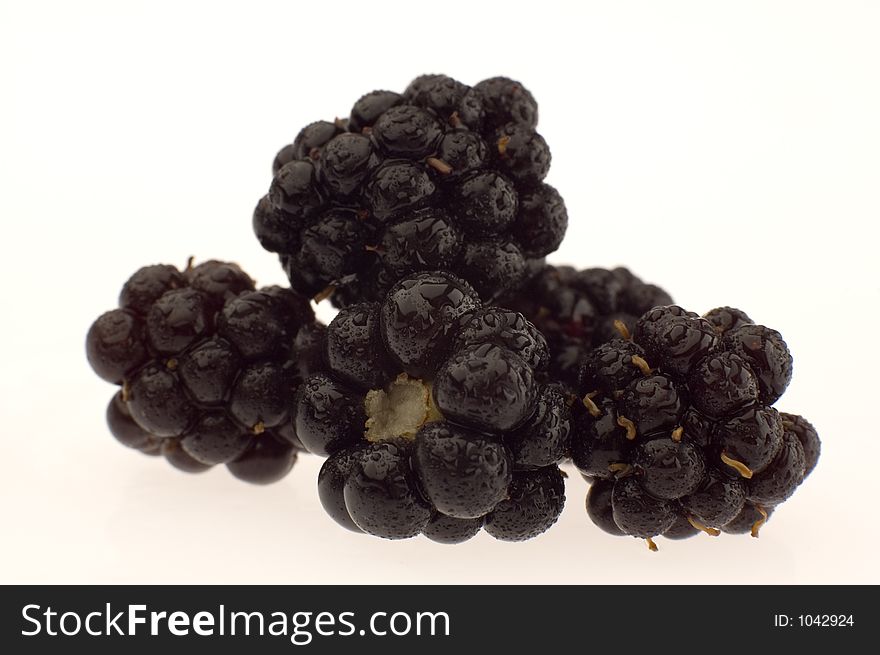 Black berry close-up