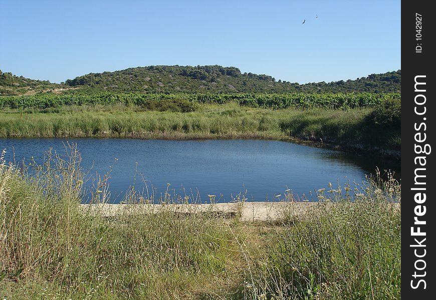 Small lake in the middle of the vineyards