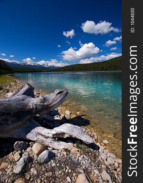 An old, gnarled stump decorates the shore of a beautiful mountain lake. An old, gnarled stump decorates the shore of a beautiful mountain lake.