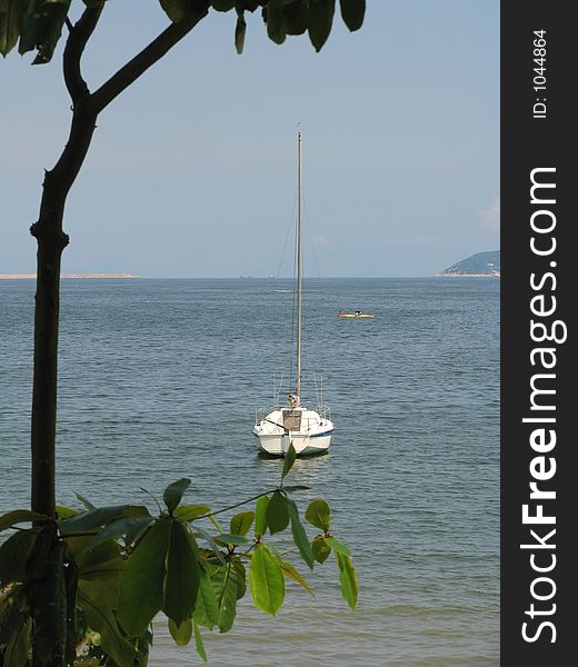 Boat From Hong Kong