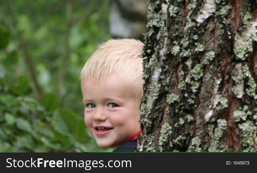 Lukas behind a birch tree. Lukas behind a birch tree