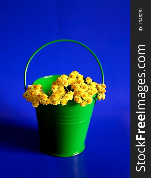 Yellow flowers and green bucket with blue background. Yellow flowers and green bucket with blue background