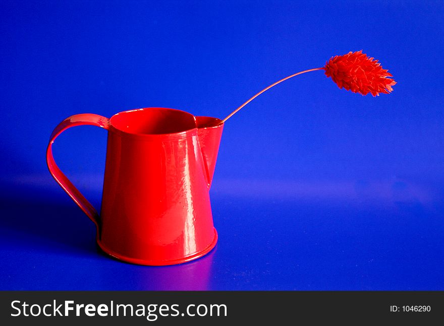 Grassy flower and red watering can in blue background