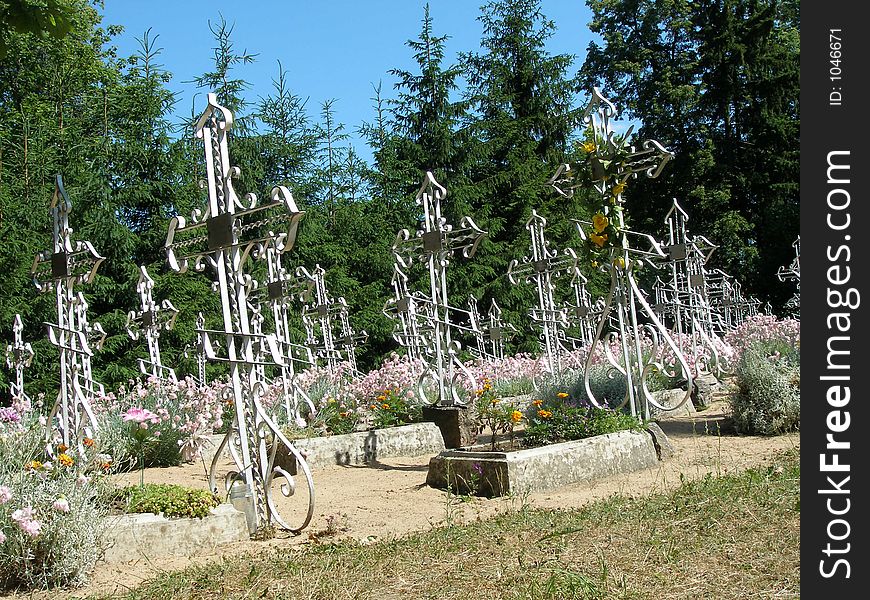 Silvery crosses in churchyard
