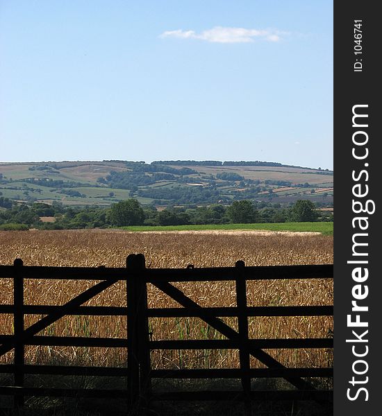 Yorshire countryside view. Yorshire countryside view.