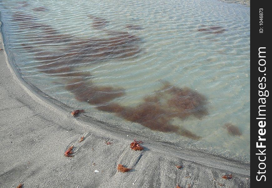 Rippling Tidal Pool with sea grass
