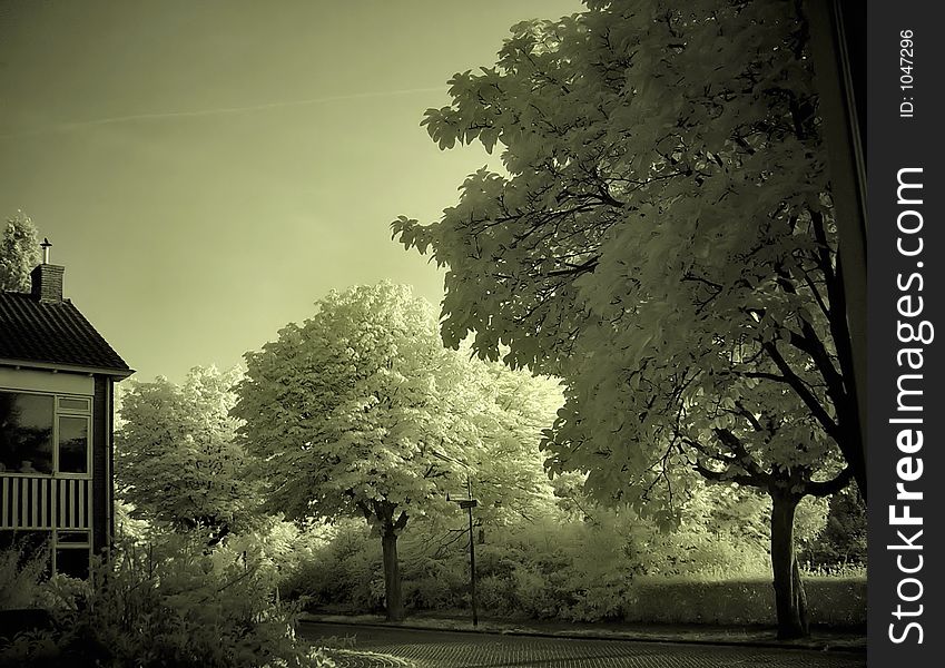 House and trees in infrared. House and trees in infrared