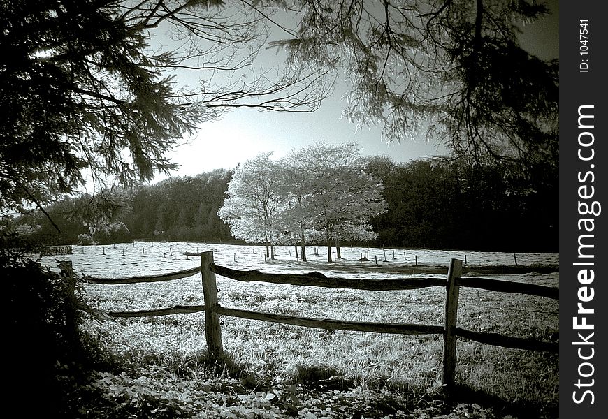 Rural view (infrared). Rural view (infrared)
