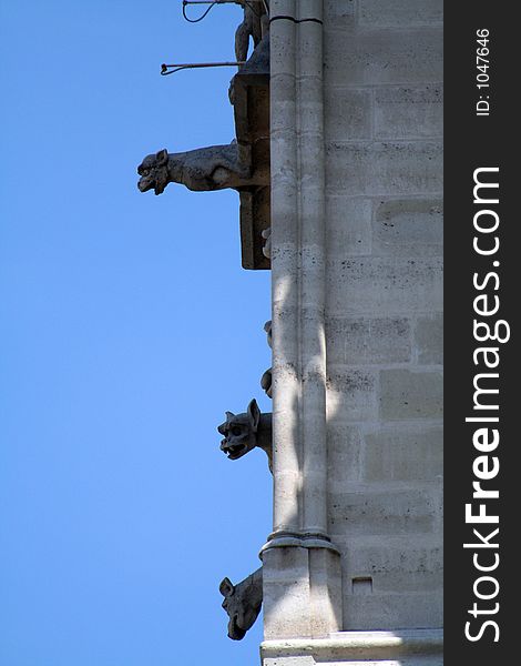 Gargoyle alignment on Notre Dame cathedral, Paris, France