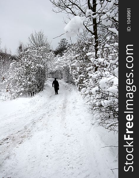 Winter sceneries in denmark a grey and cold day of december