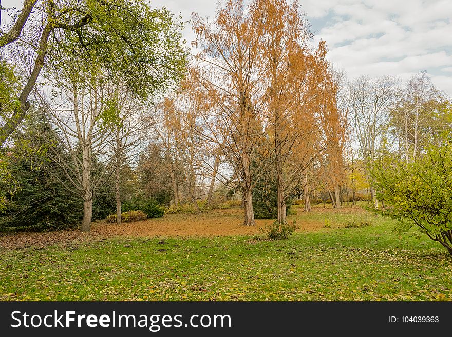 End Of The Golden Autumn