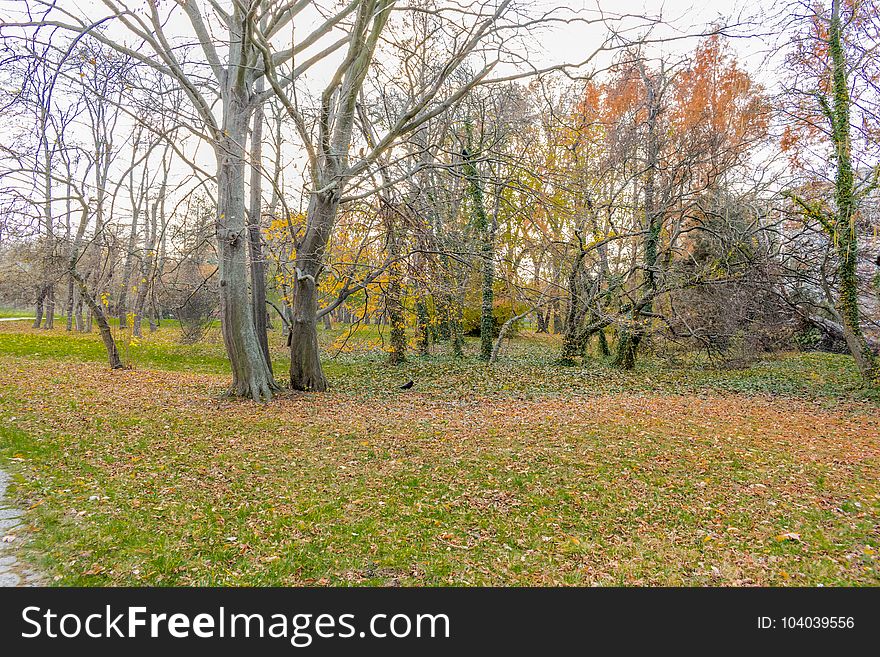 End of the golden autumn