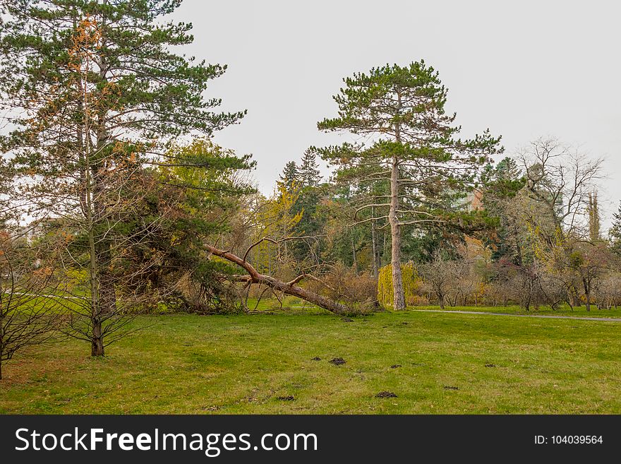 It`s a story About the end while and the forests is are golden And feel as they approach early winter. It`s a story About the end while and the forests is are golden And feel as they approach early winter