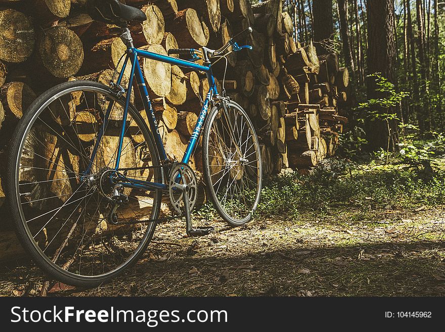 Bicycle, Bike, Brakes, Classic