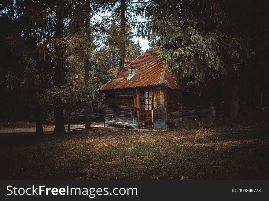 Wooden House On A Forest