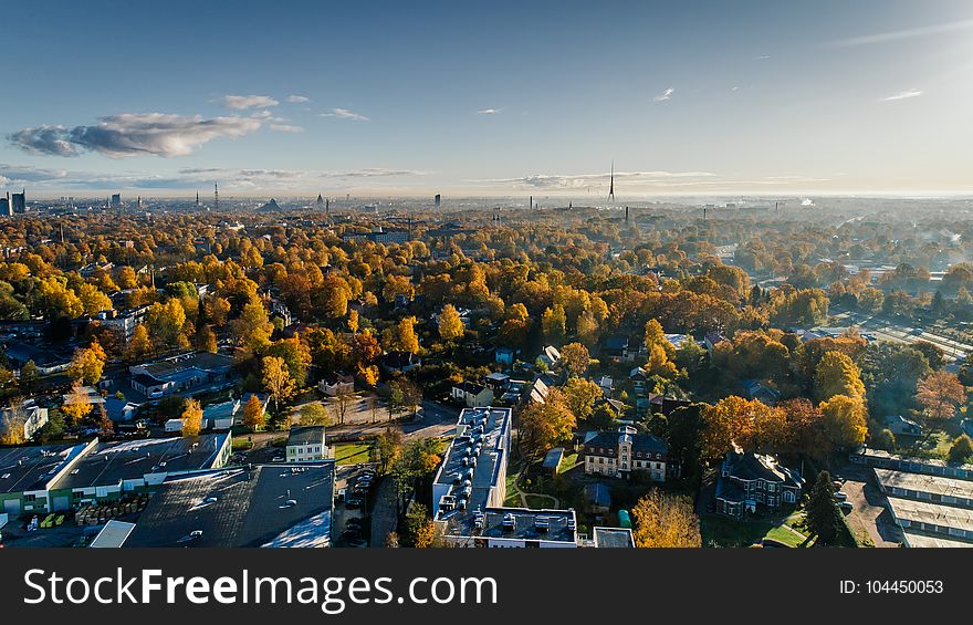 Aerial Photograph of City Buildings and Trees