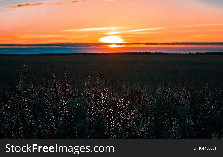 Gray Field During Sunset