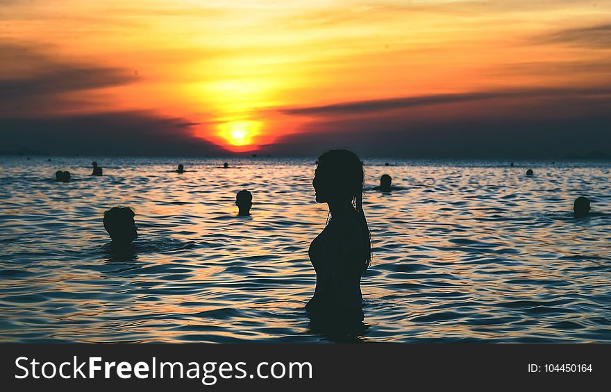 Silhouette Photography of People Swimming on the Beach during Golden Hour