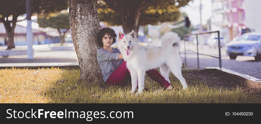 Woman in Gray Long Sleeve Top and Red Pants Sitting Beside Tree and White Medium Coated Dog