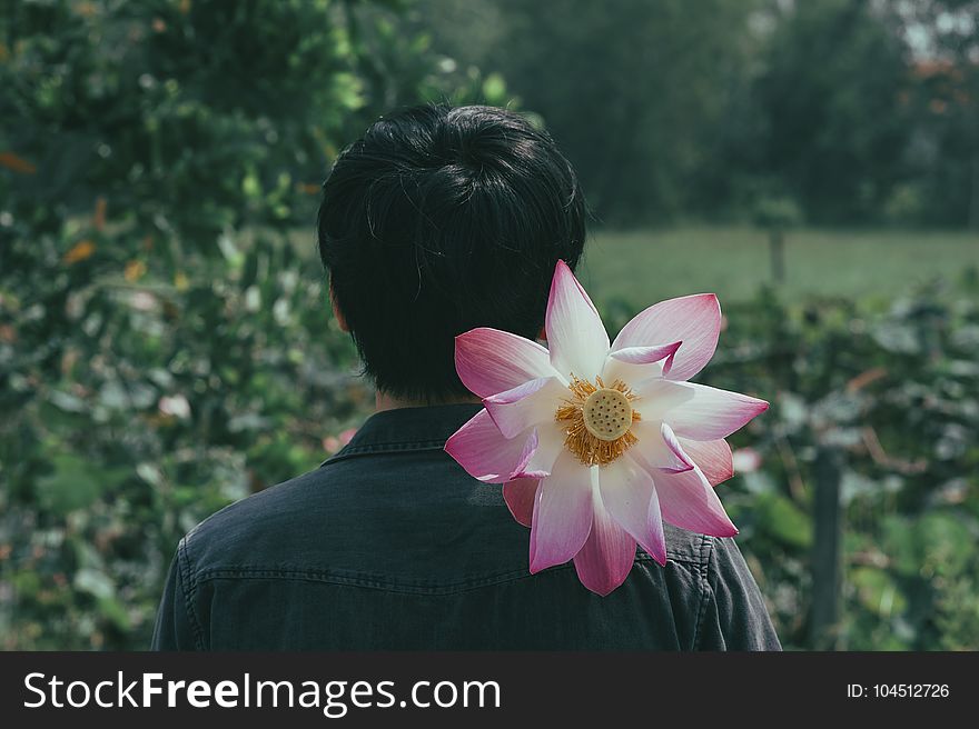 Pink Flowers On The Shoulder Of Person