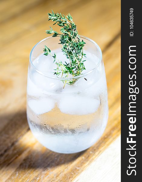 Green Leafed Plant On Drinking Glass With Ice And Water