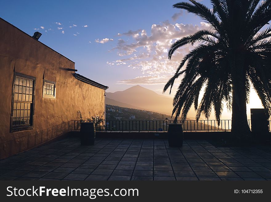 Landscape Photography Of Brown Painted House Near Green Leaf Tree During Golden Hours